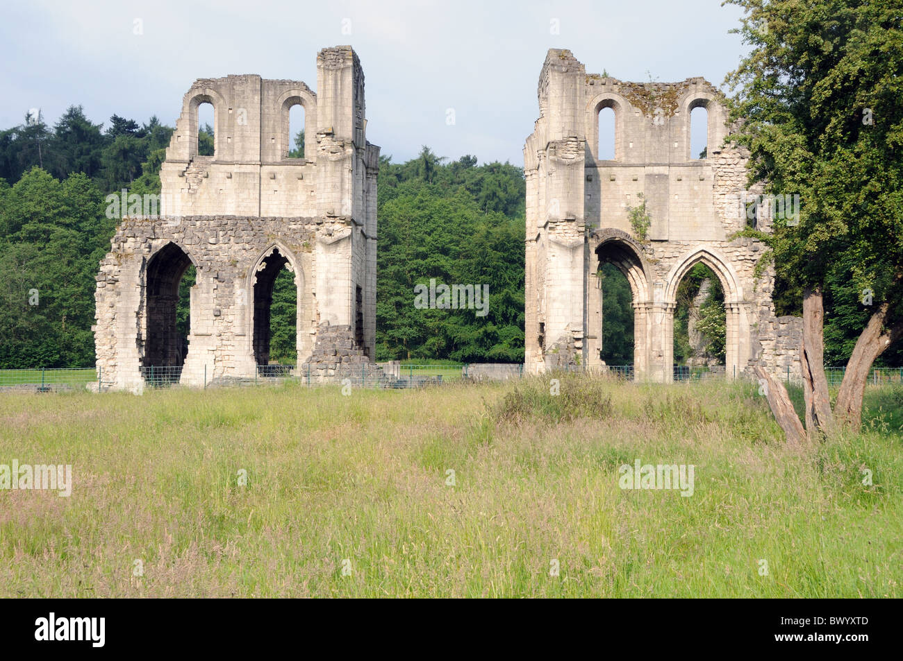 The ruins of Roche Abbey, near Maltby, Yorkshire, England Stock Photo