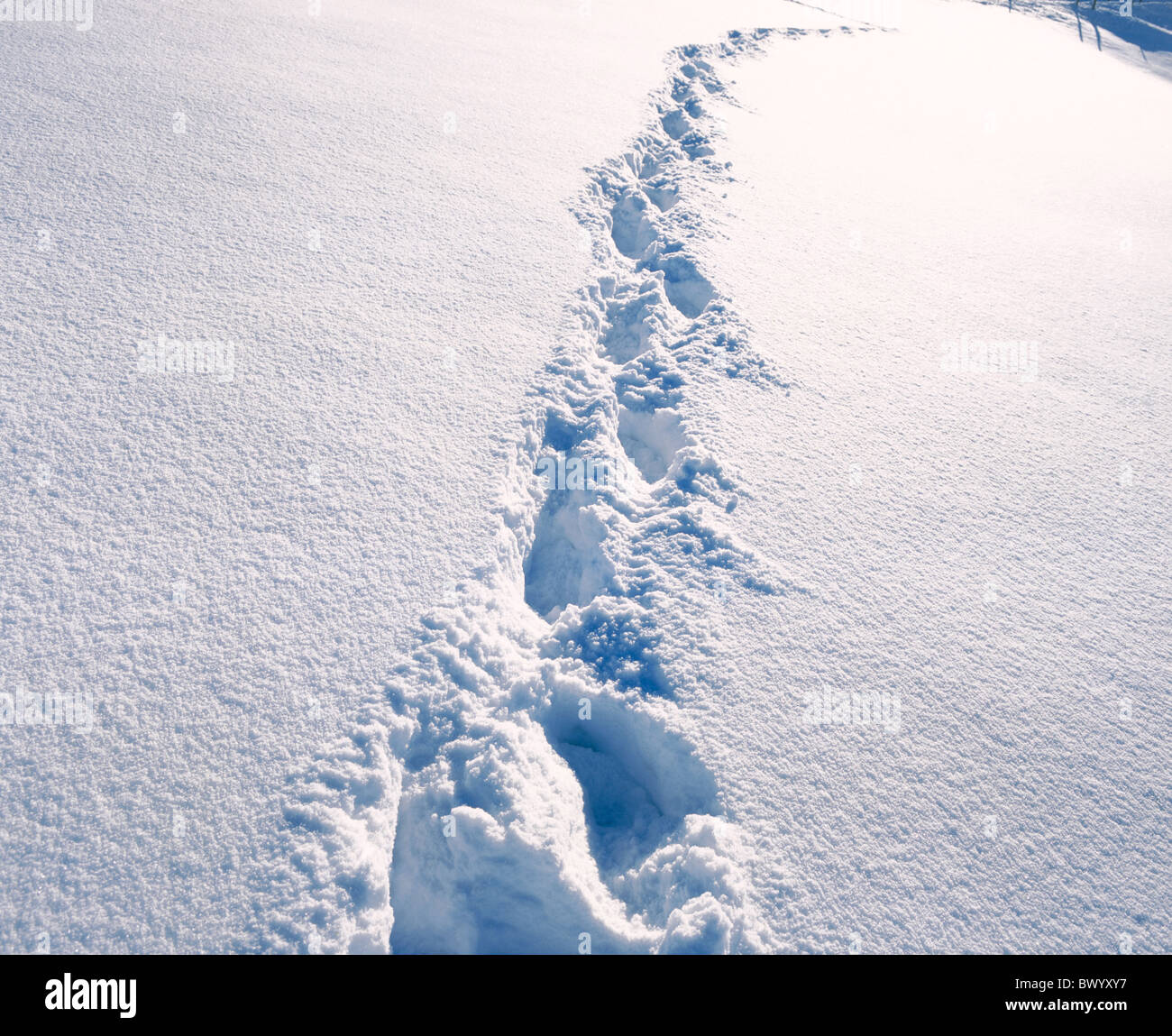 foot print footprints snow tracks traces deep snow winter Stock Photo
