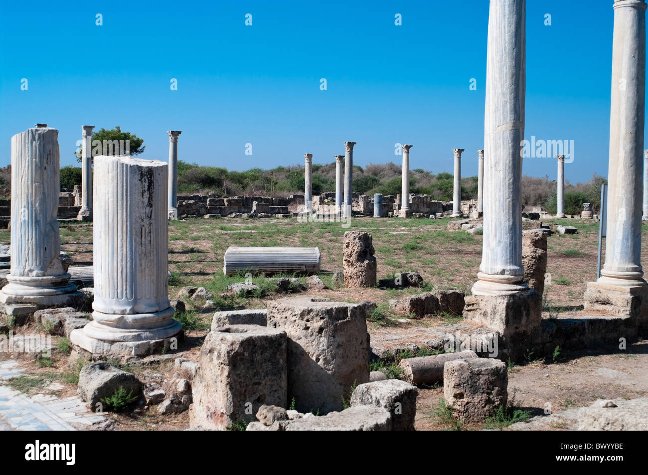 Roman ruins in Salamis ancient city in northern Cyprus Stock Photo - Alamy
