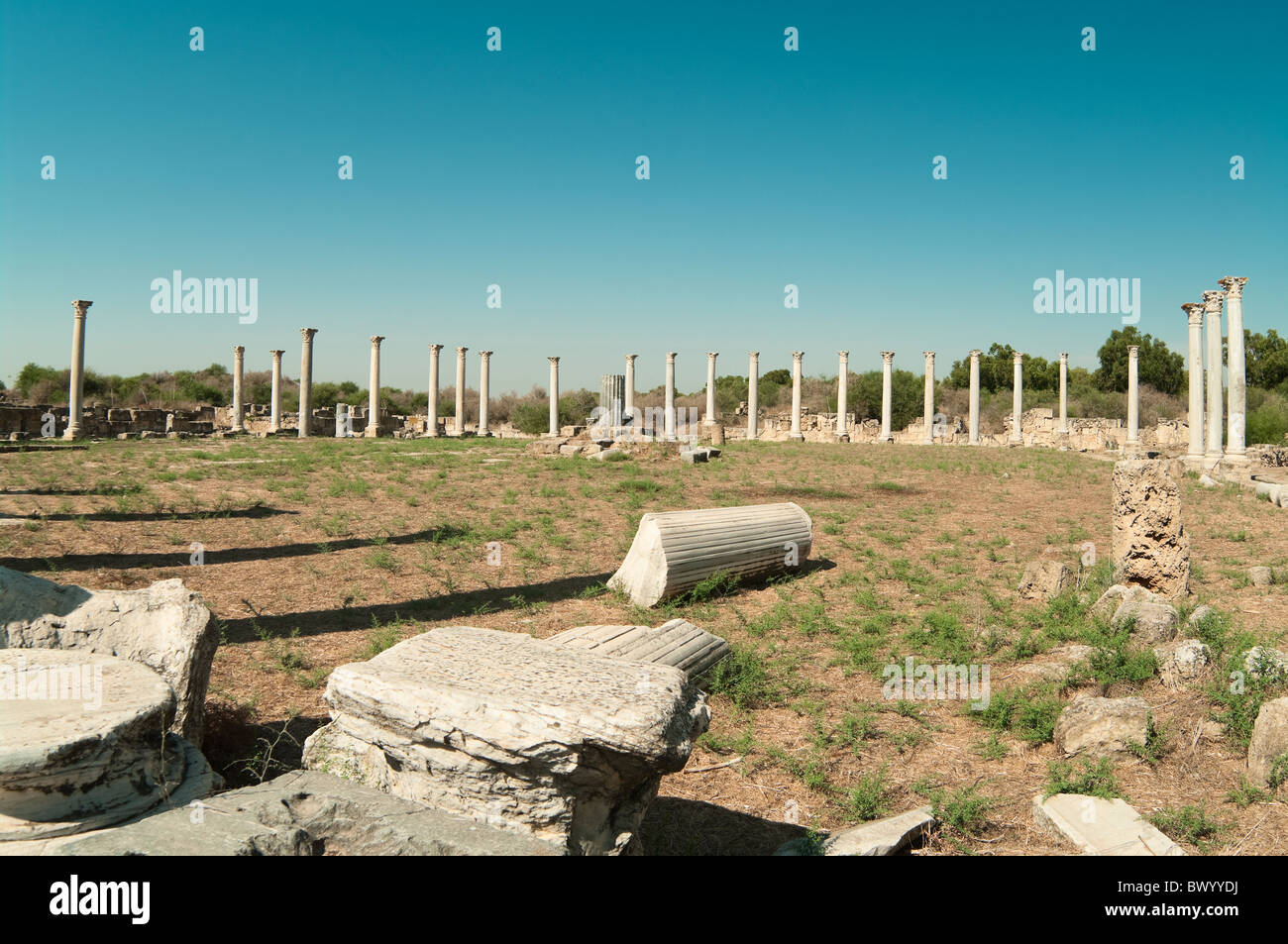 Roman ruins in Salamis ancient city in northern Cyprus Stock Photo - Alamy