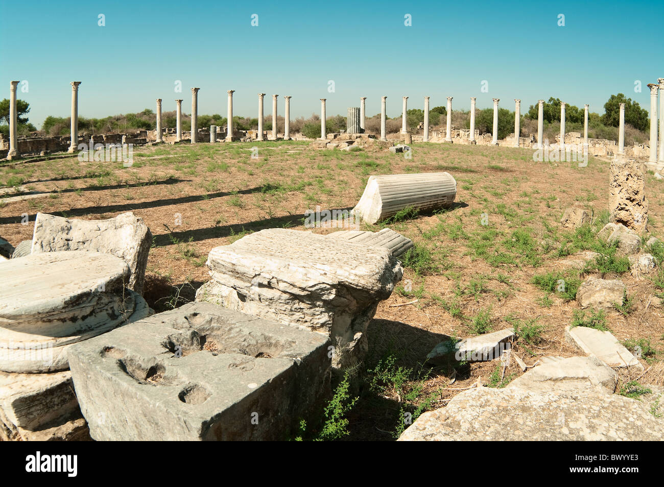 Roman ruins in Salamis ancient city in northern Cyprus Stock Photo - Alamy