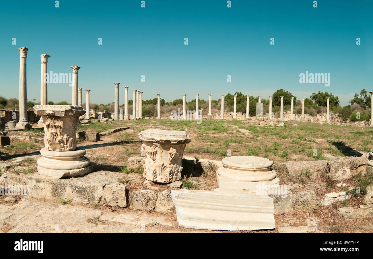 Roman ruins in Salamis ancient city in northern Cyprus Stock Photo - Alamy