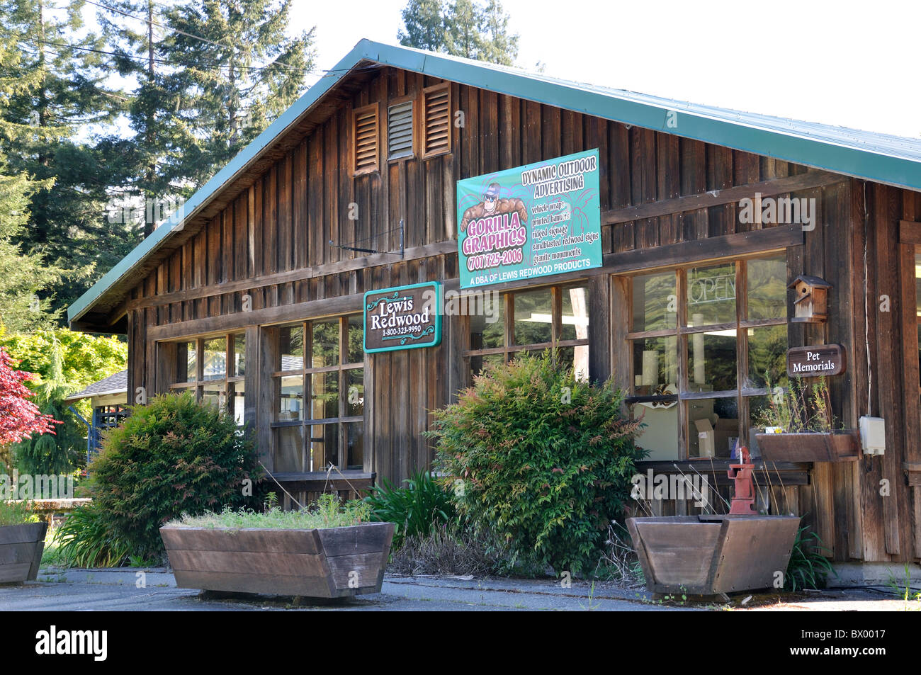 Store, Redwoods National Park, Northern California, USA Stock Photo Alamy