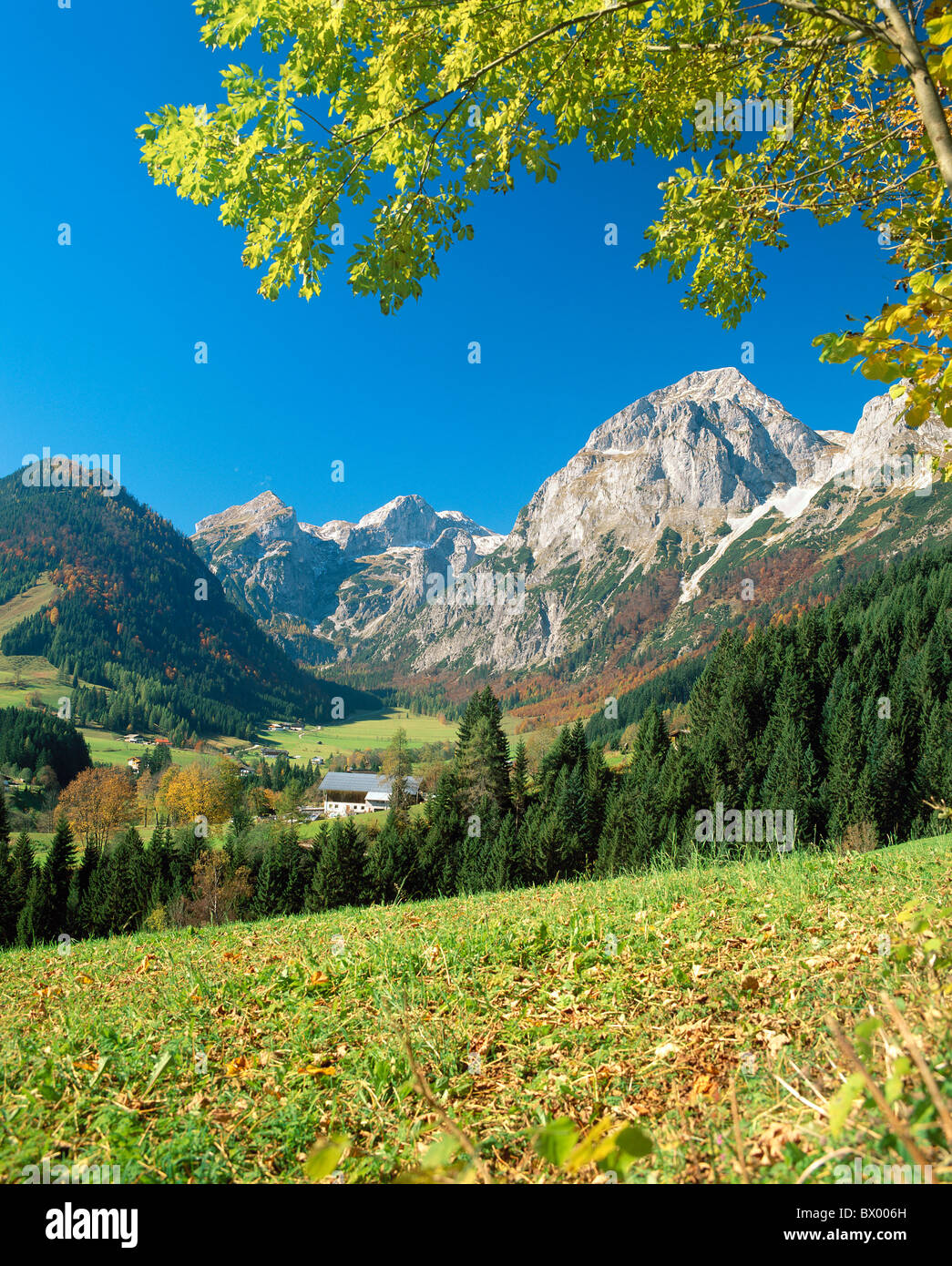 Lungotz Hi res Stock Photography And Images Alamy lungotz-hi-res-stock-photography-and-images-alamy