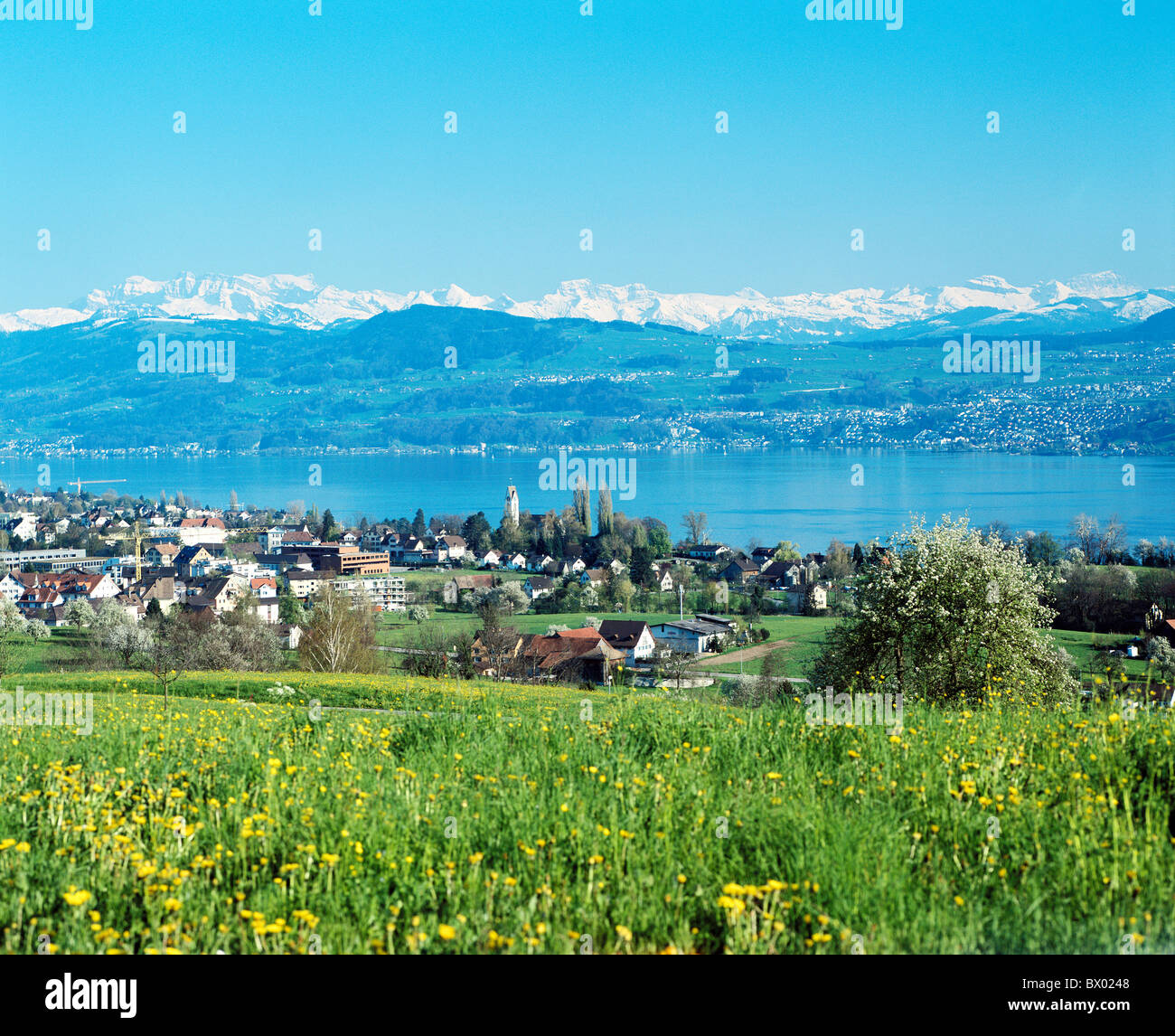 village spring Glarus Alps Alps canton Zurich scenery Switzerland Europe lake sea Uetikon Zurich lake se Stock Photo