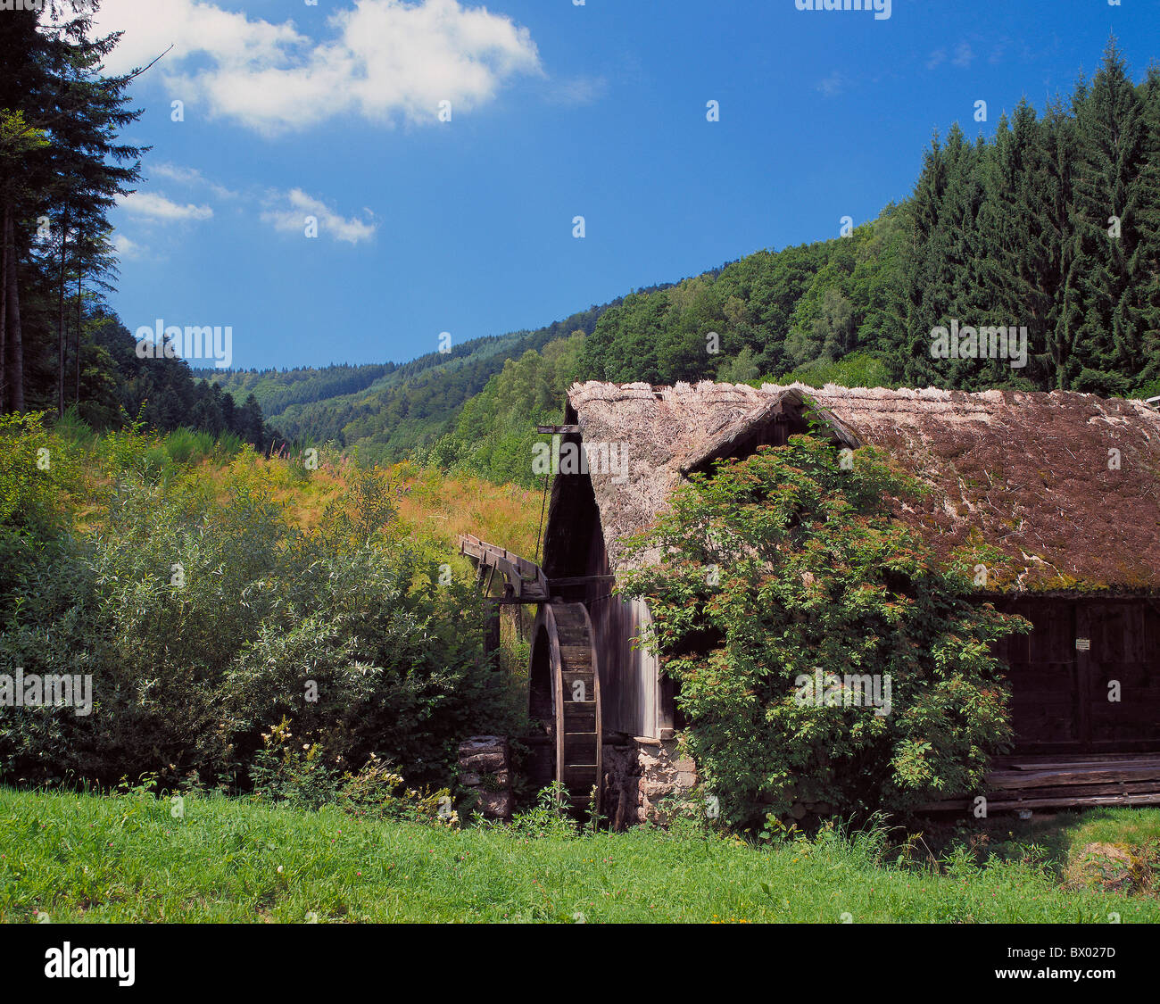 Gunther's Valley, Black Forest, Baden, Germany