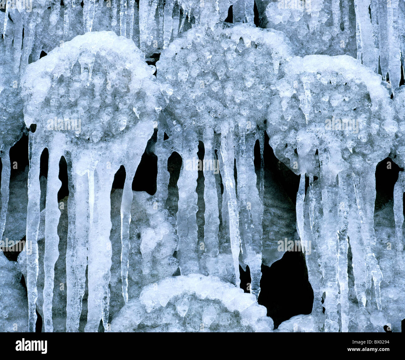 trunks detail icicle winter ice cold Stock Photo - Alamy