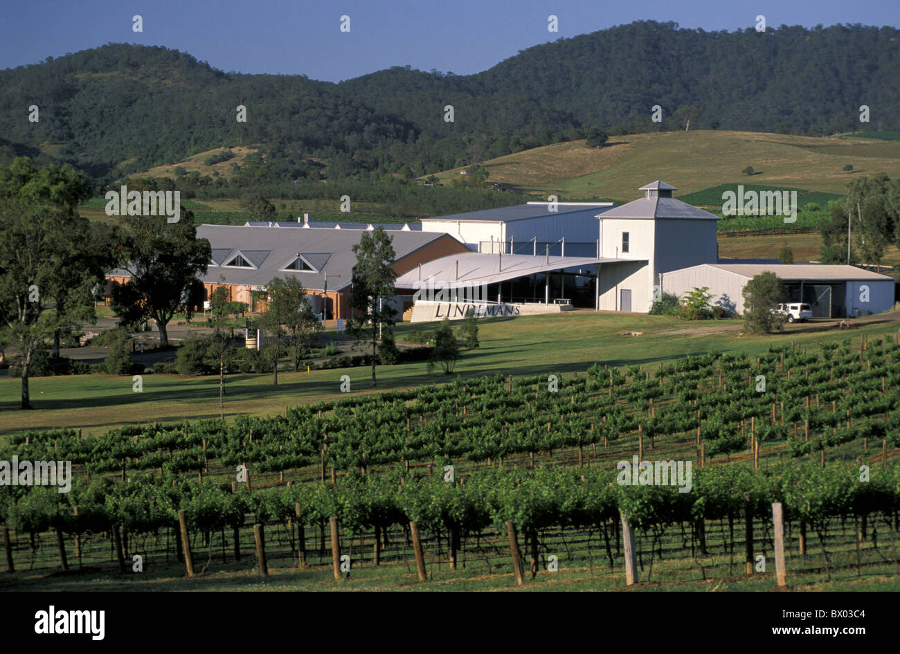 Australia Lindemans Winery near Cessnock New South Wales Lower Hunter