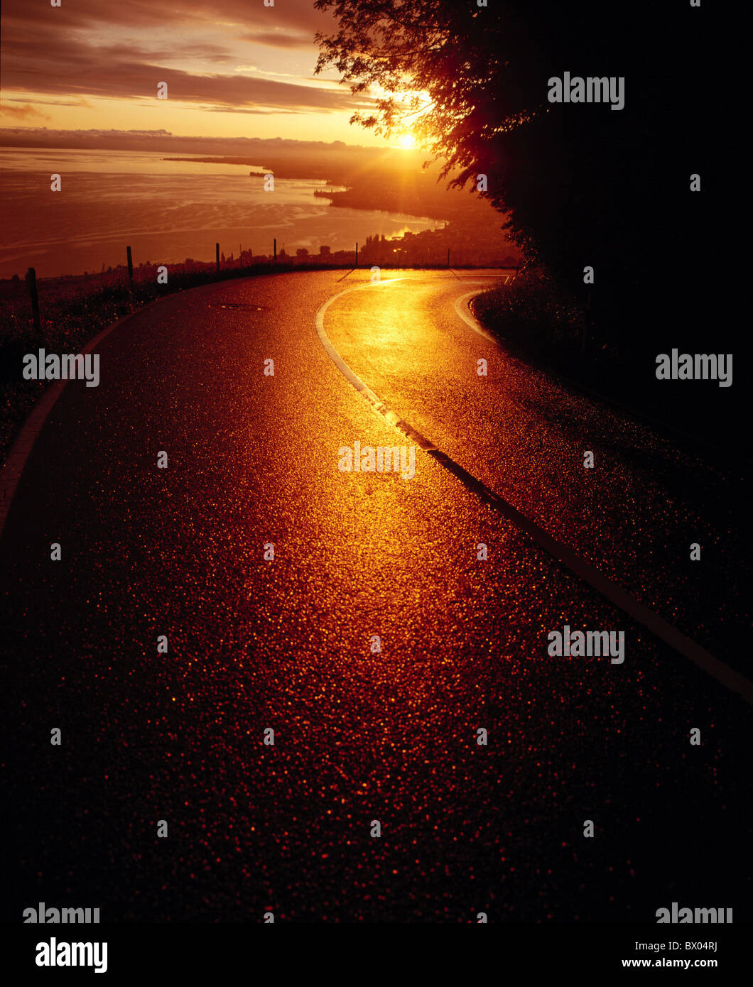 view lake Constance lake sea country road street Rorschach Switzerland