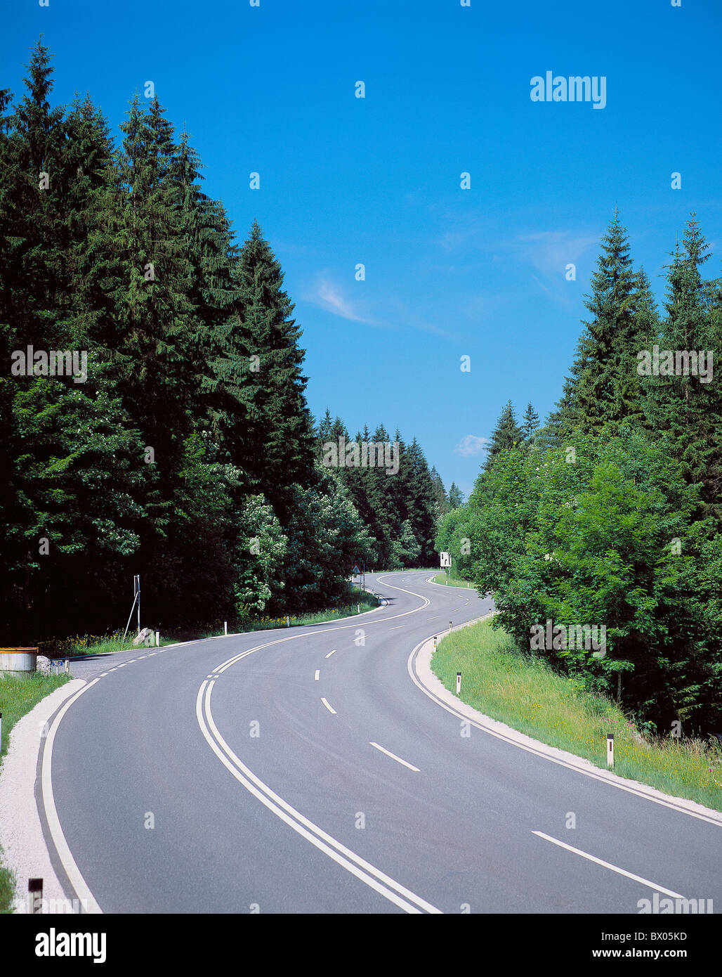country road street dreispurig curves wood forest empty empty Stock Photo
