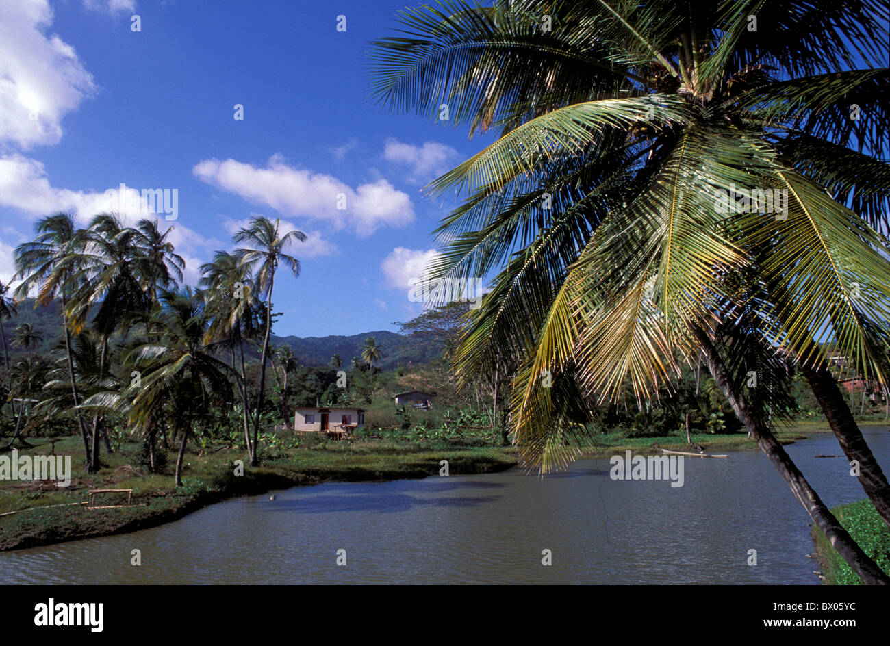 huts palm trees River Roxborough scenery landscape Caribbean Tobago