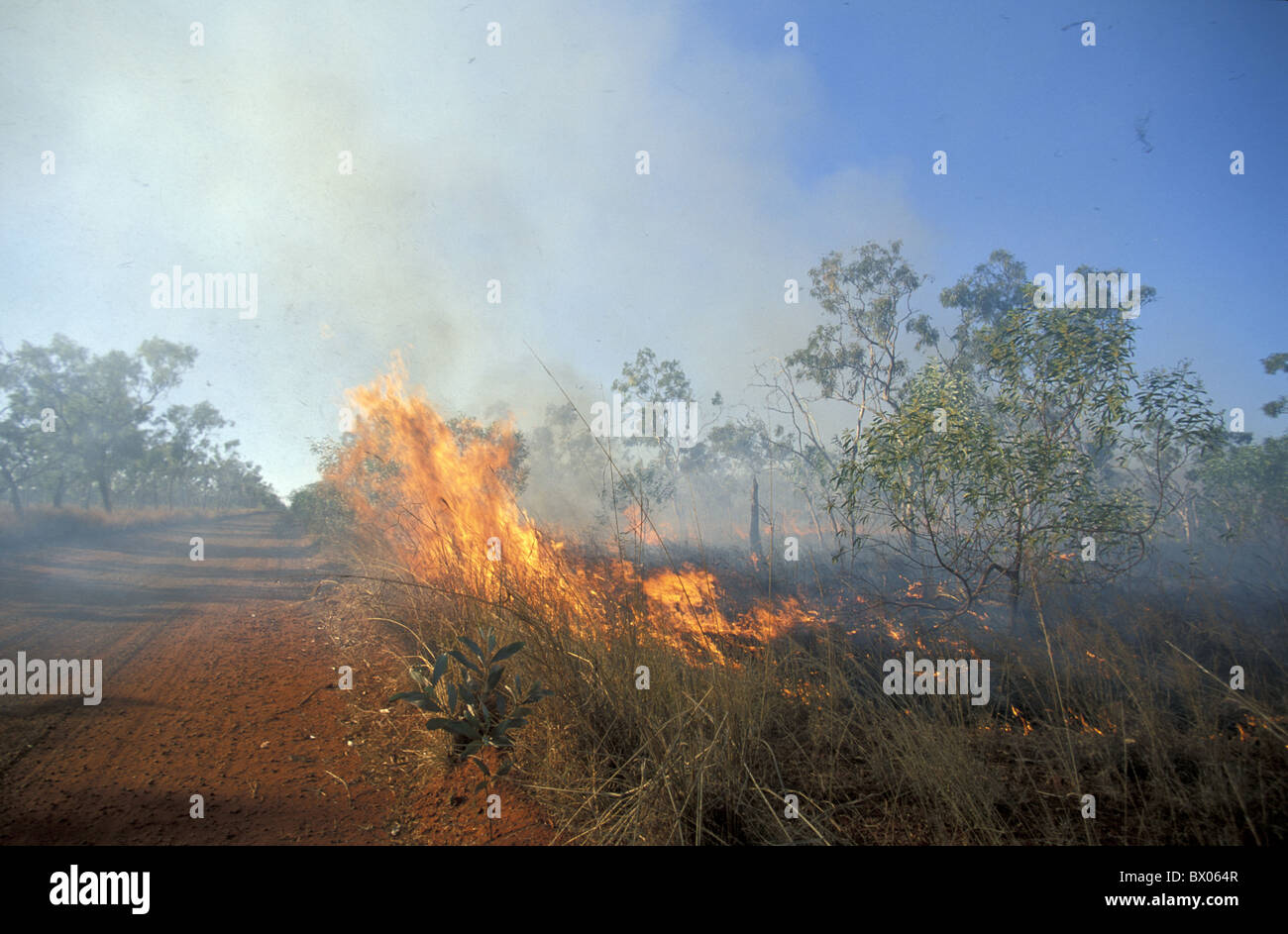 Australia bush fire Bushfire fire flames Gibb River Road Outback Kimberley´s trees western Australia Stock Photo