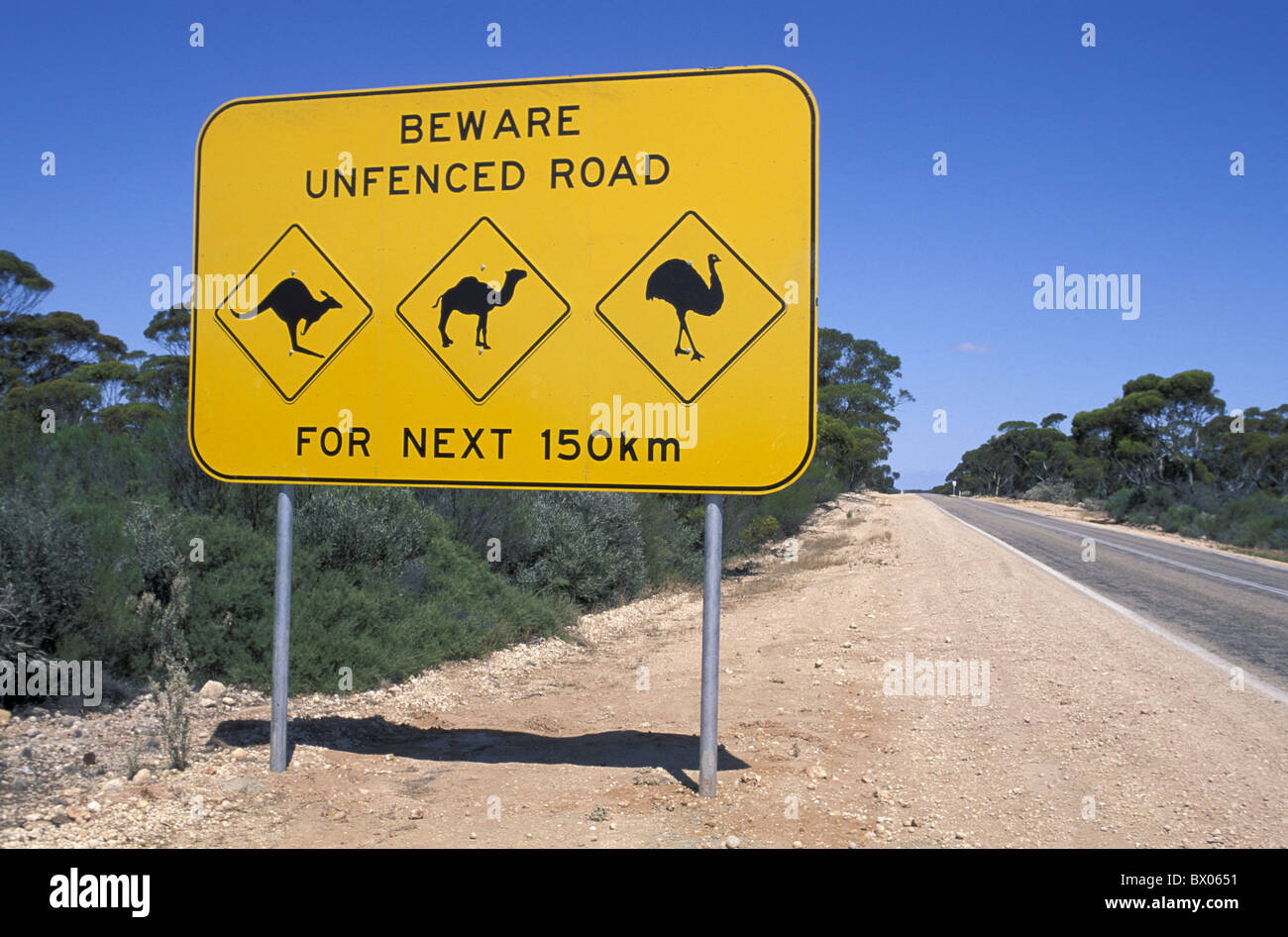 animals attention Australia camel care emu Eyre Highway kangaroo street warning western Australia near Ba Stock Photo