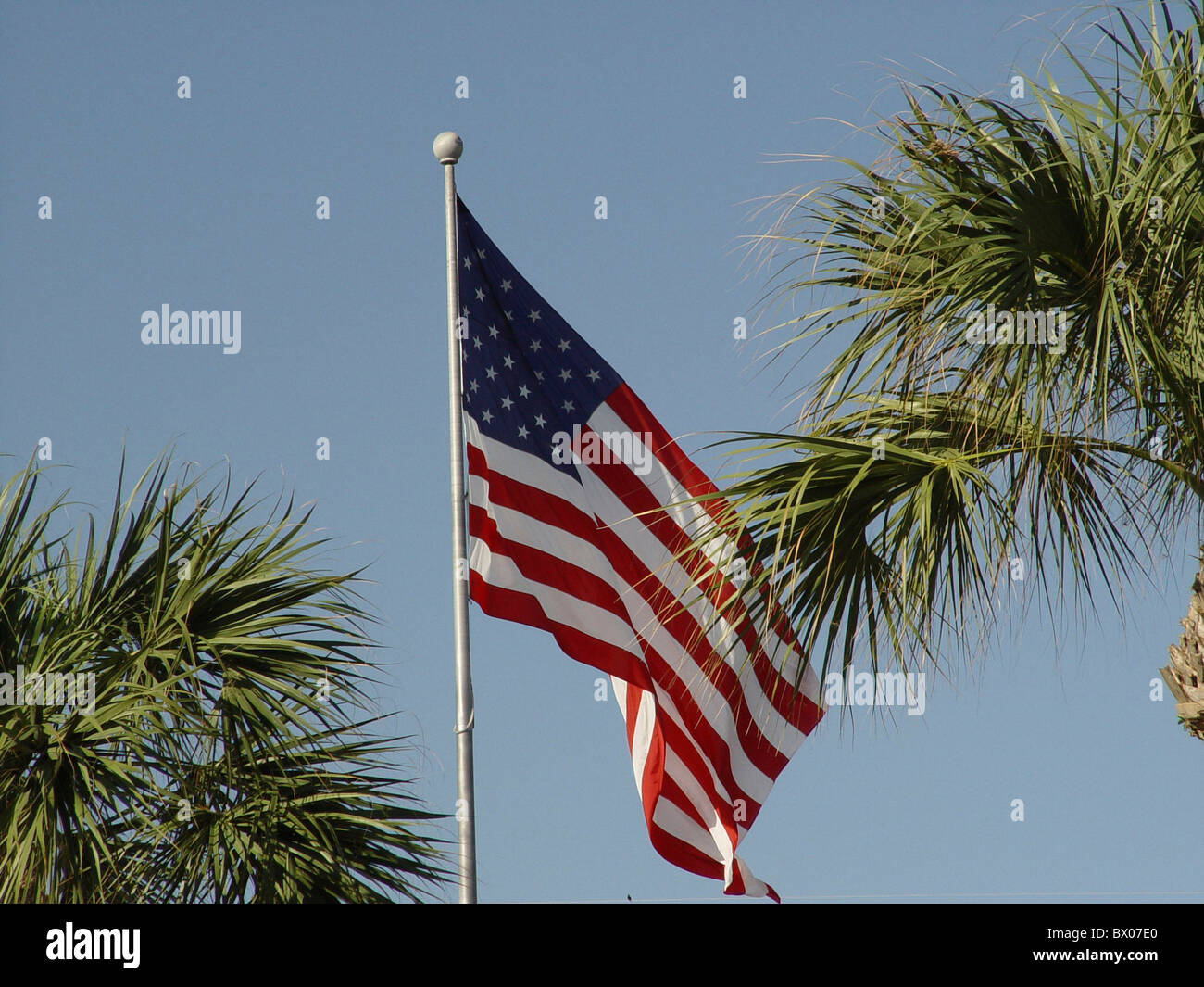 flag flag banner sky land flags palms patriotism starlings and Stripes symbol USA America North America Stock Photo