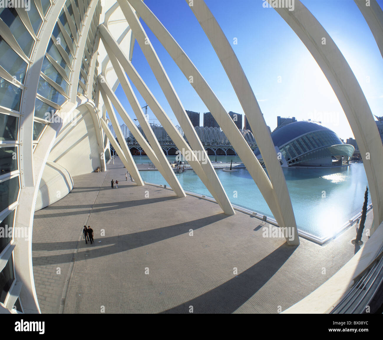 architecture Arts and Science city Calatrava modern building