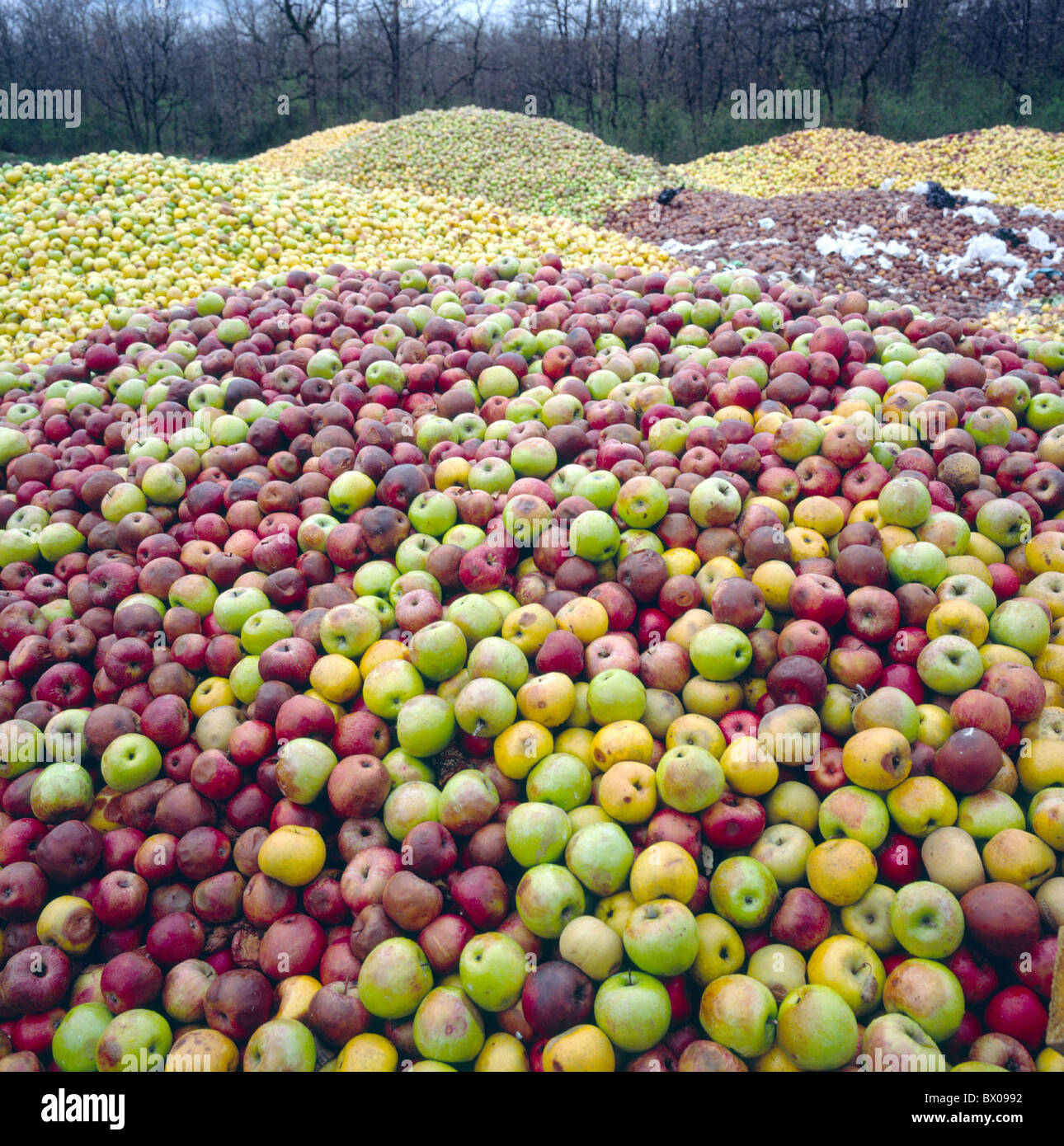 rubbish waste agriculture food feeding food eating harvest crop