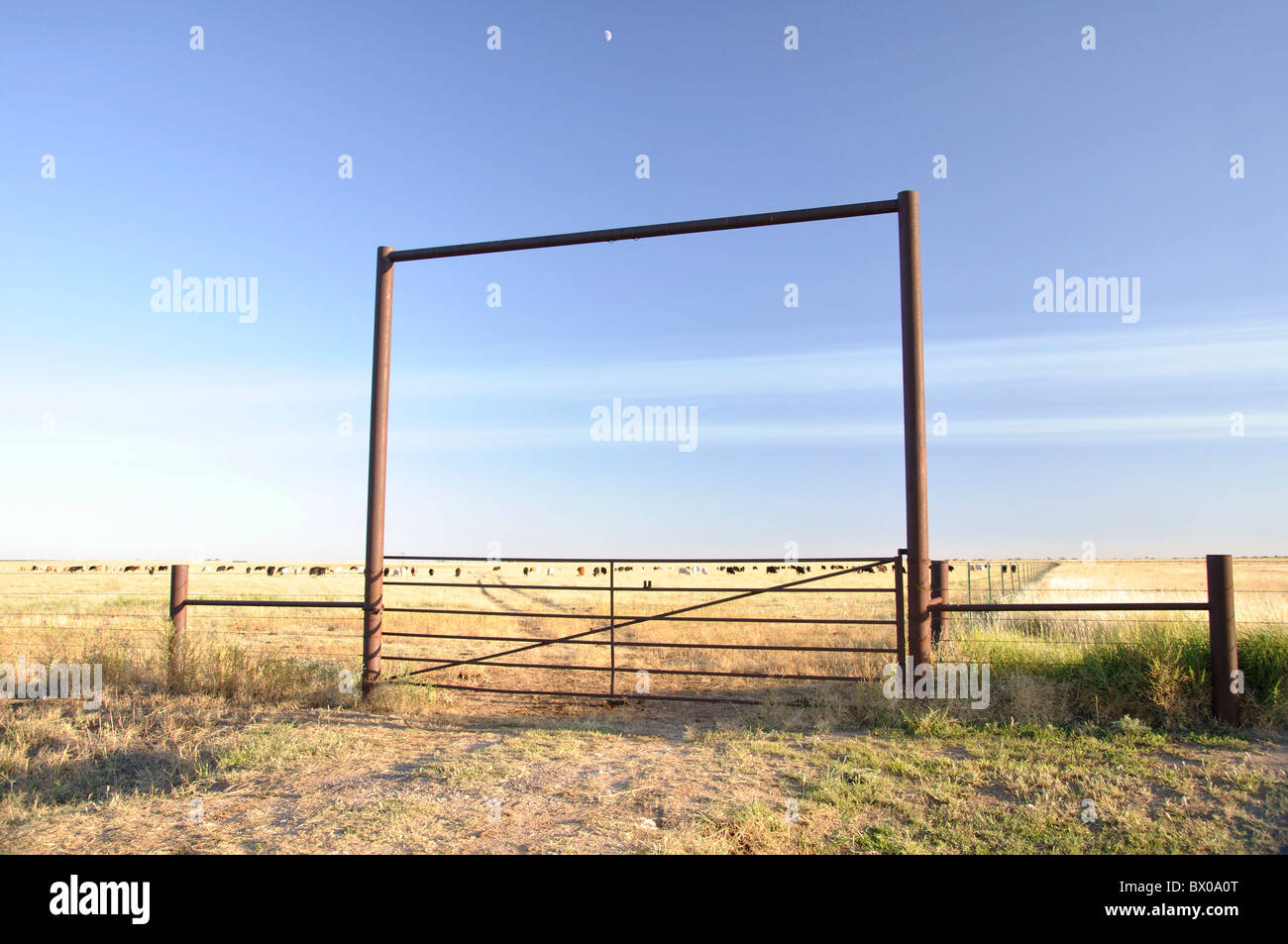 Texas gate ranch hi-res stock photography and images - Alamy