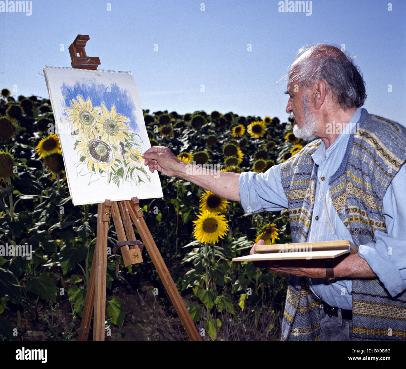 activity old work job work blossom carefully attention picture blue sky flower blossom flourish individ Stock Photo