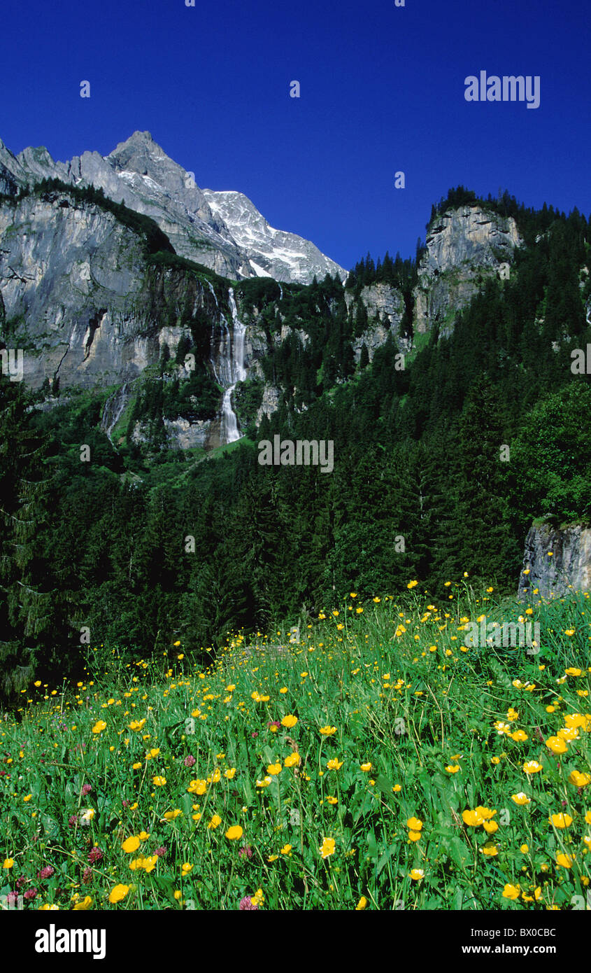 alpine Alps Alpine flora Alpine mountain mountains blue sky flowers Braunwald flora spring mountains Gl Stock Photo