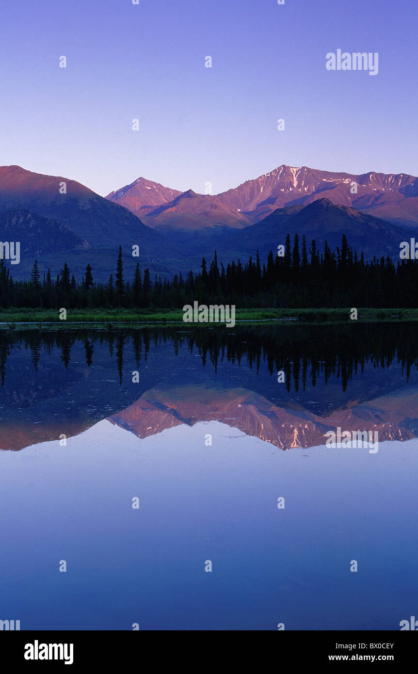 evening evening light Alaska Alpenglow trees mountains blue sky mountains high cheers portrait format sc Stock Photo