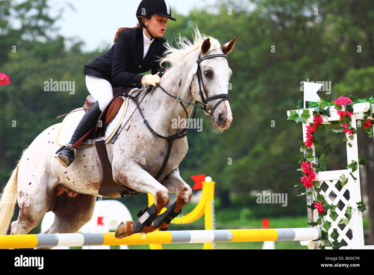Equestrian and her horse leaping over a railing, Hong Kong, China Stock