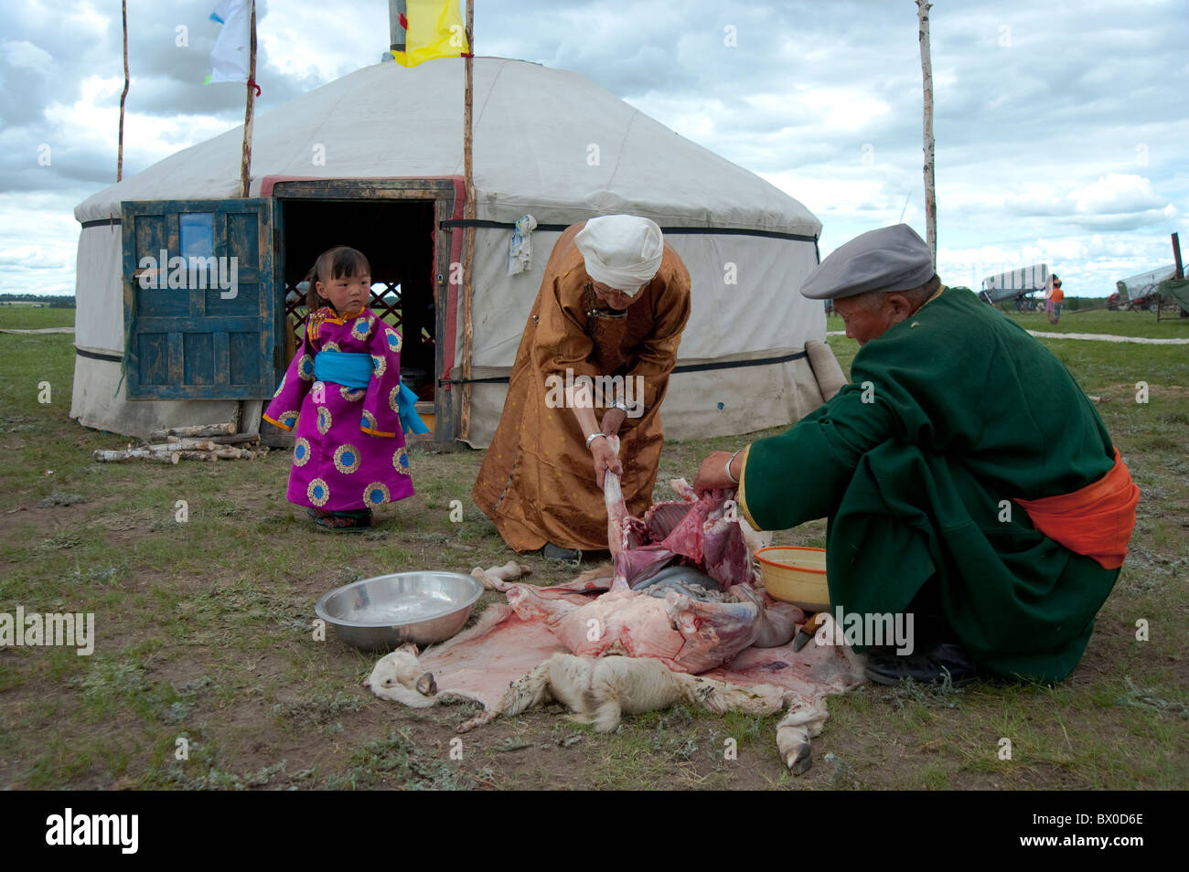 Barag Mongolian people slaughtering sheep, Old Barag Banner, Hulunbuir, Inner Mongolia Autonomous Region, China Stock Photo