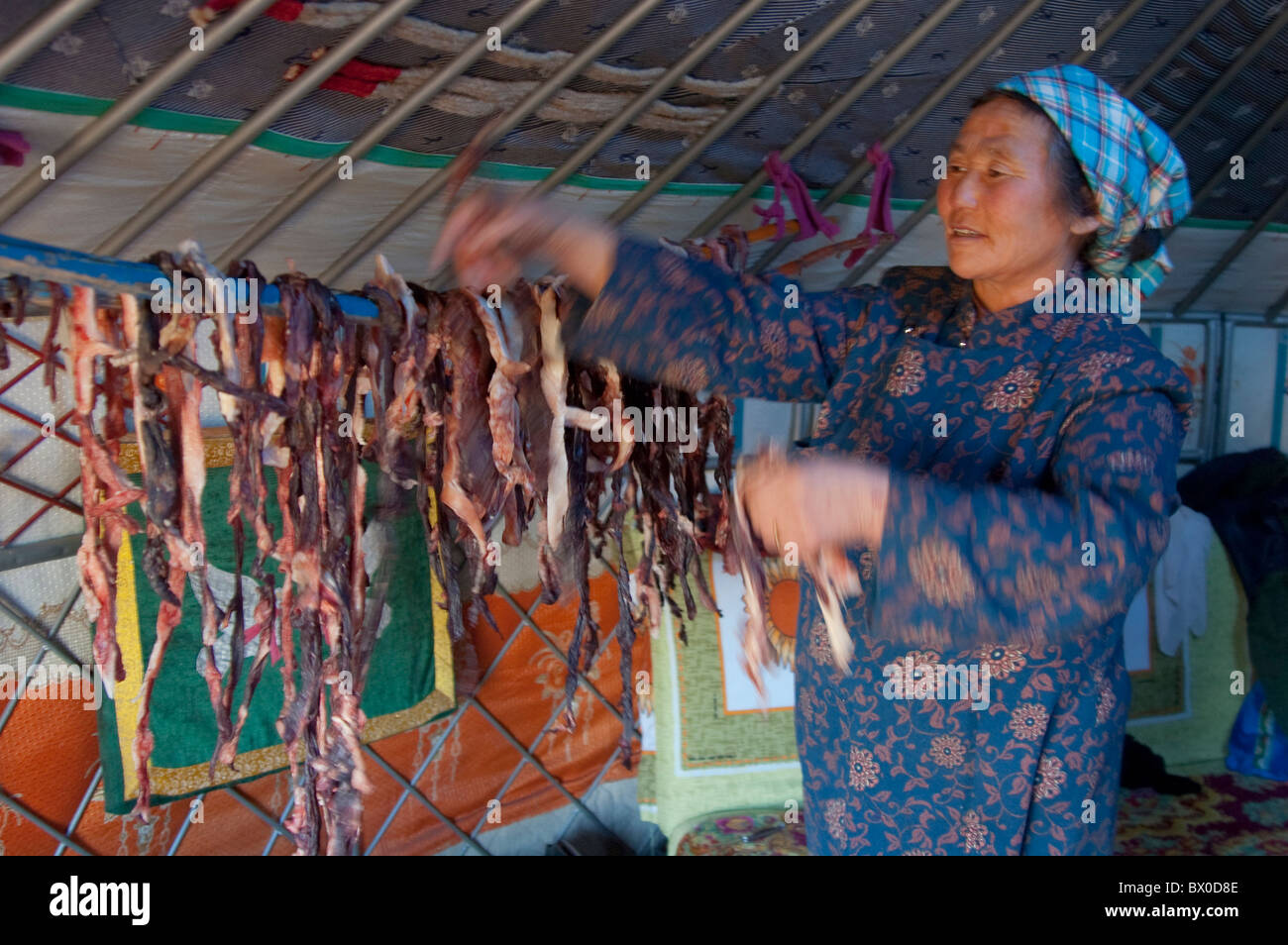 Barag Mongolian Woman Making Dry Meat Old Barag Banner Hulunbuir