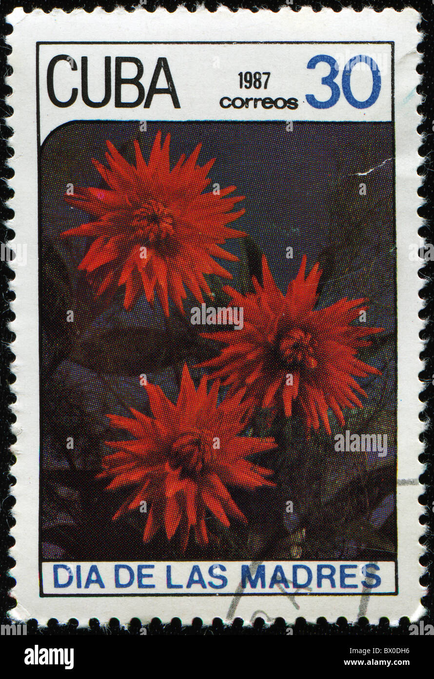 CUBA - CIRCA 1987: A stamp printed in Cuba showing Dahlia flower, circa 1987 Stock Photo