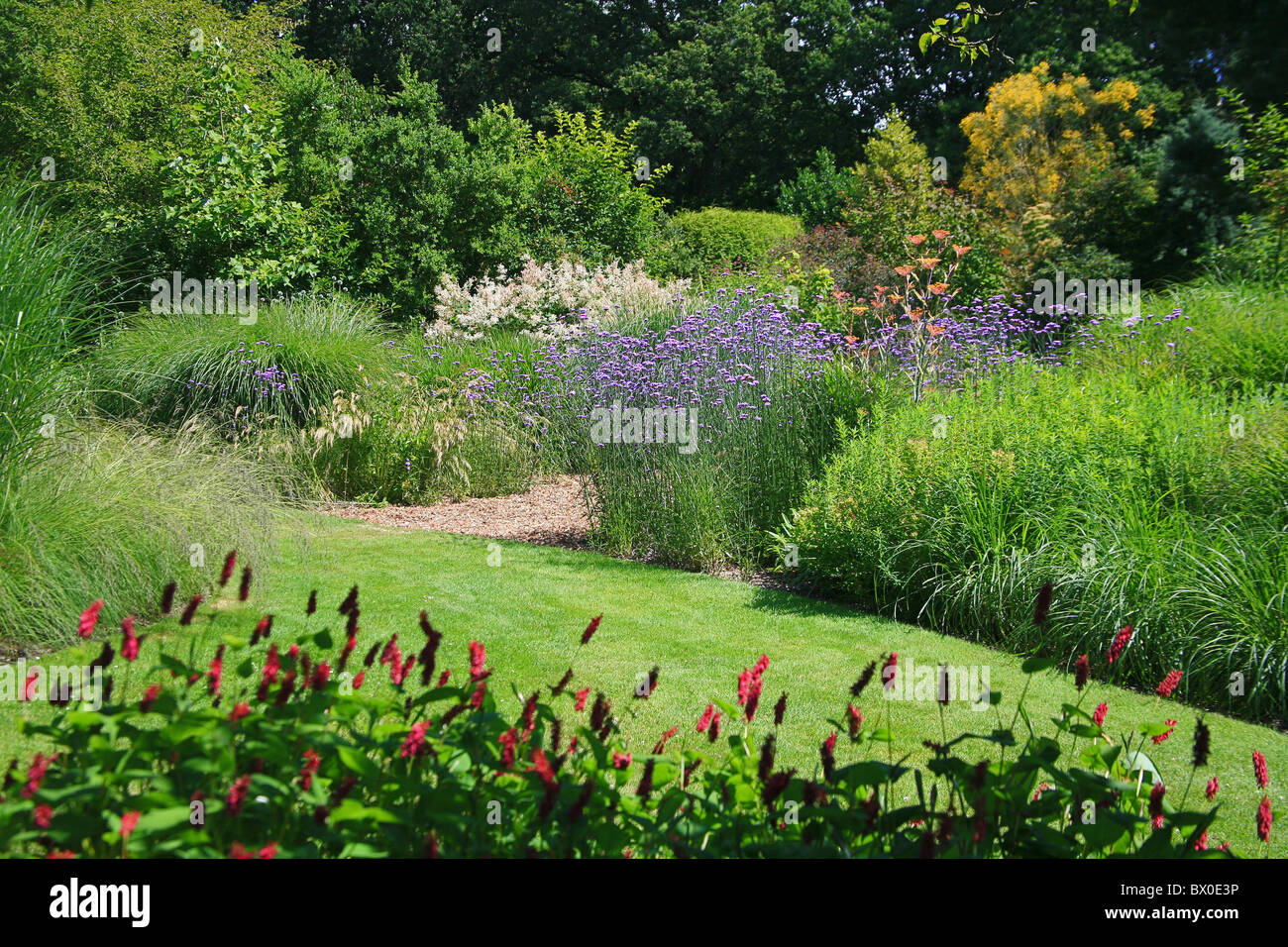 The summer display in Knoll Gardens in Wimborne, Dorset, England, UK Stock Photo