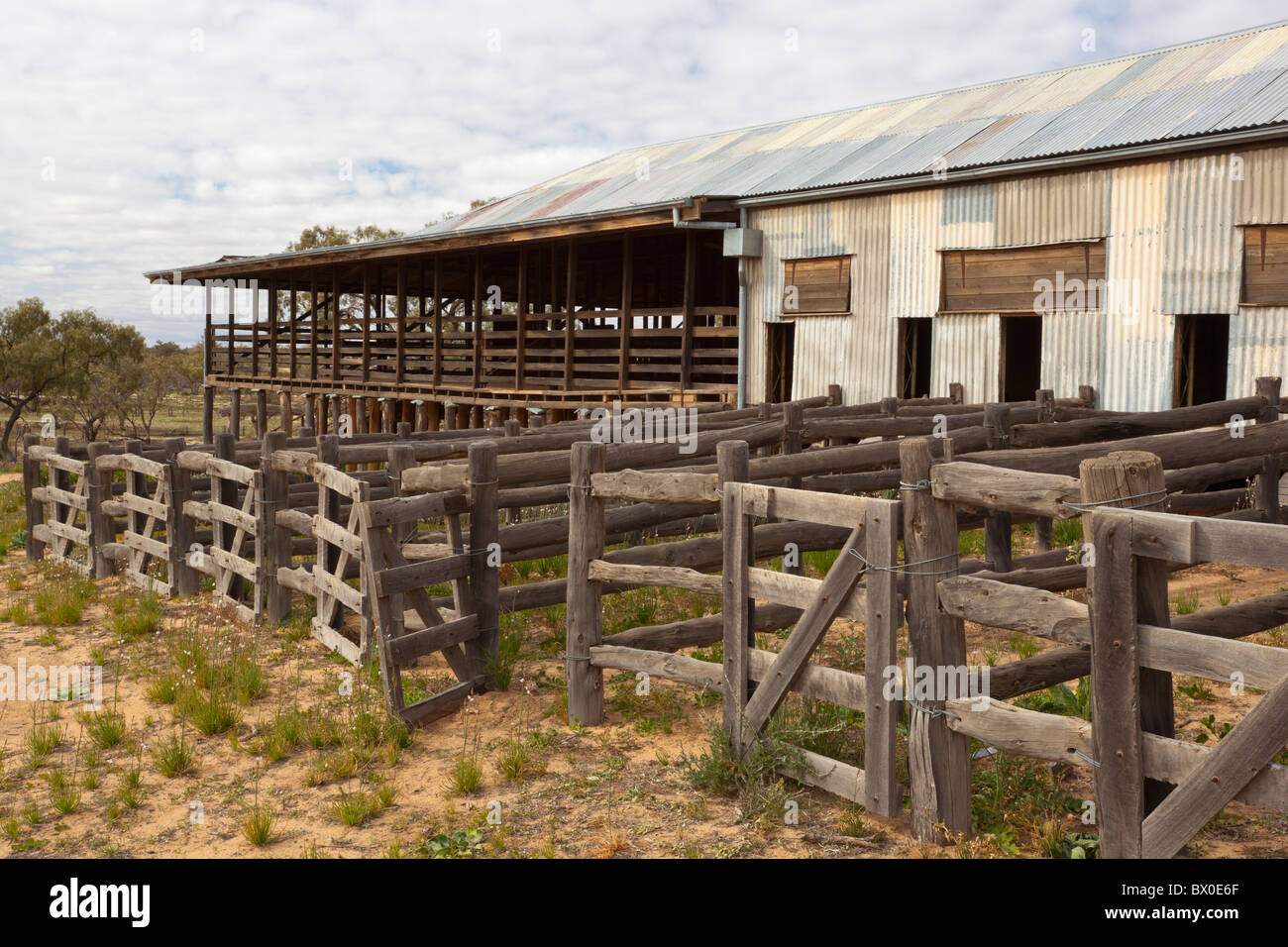 The wooden sheep pens at Kinchega Shearing Shed, Kinchega National Park, Menindee, New South