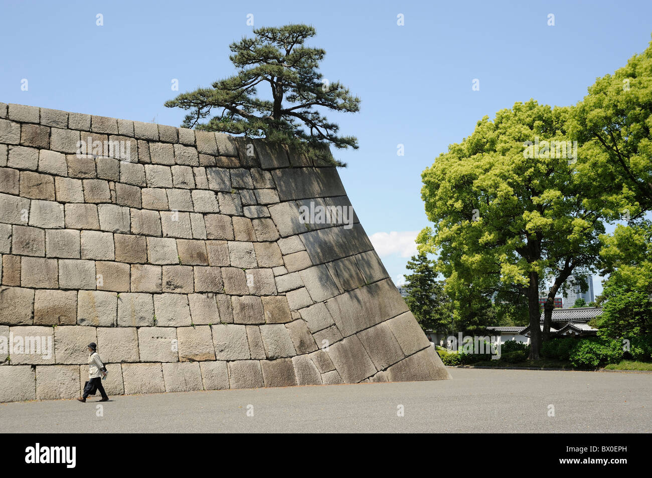 Japanese Woman Passing By Stone Wall With Pine Tree On It Imperial Stock Photo Alamy Japanese Woman Passing By Stone Wall With Pine Tree On It Imperial Stock Photo Alamy