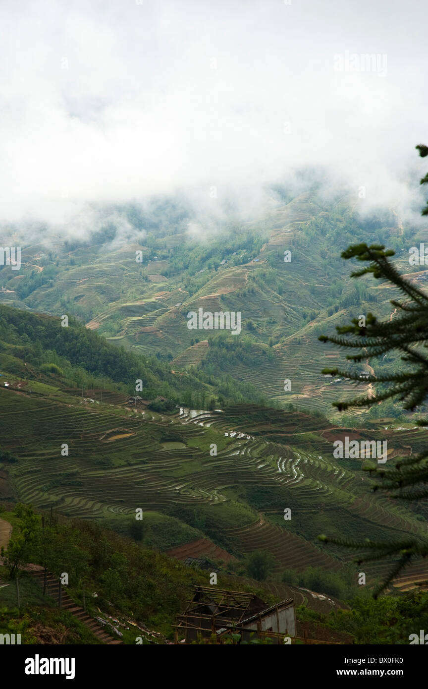 Dramatic Longji Terraced Field, Longsheng Various Nationalities