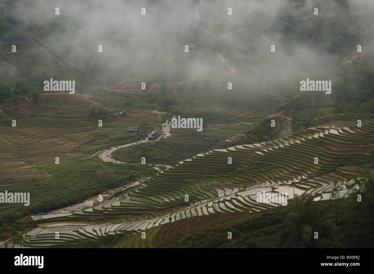 Dramatic Longji Terraced Field, Longsheng Various Nationalities