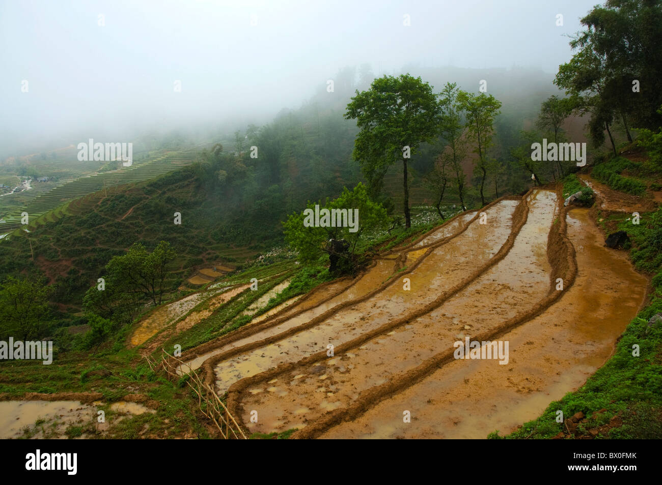 Dramatic Longji Terraced Field, Longsheng Various Nationalities