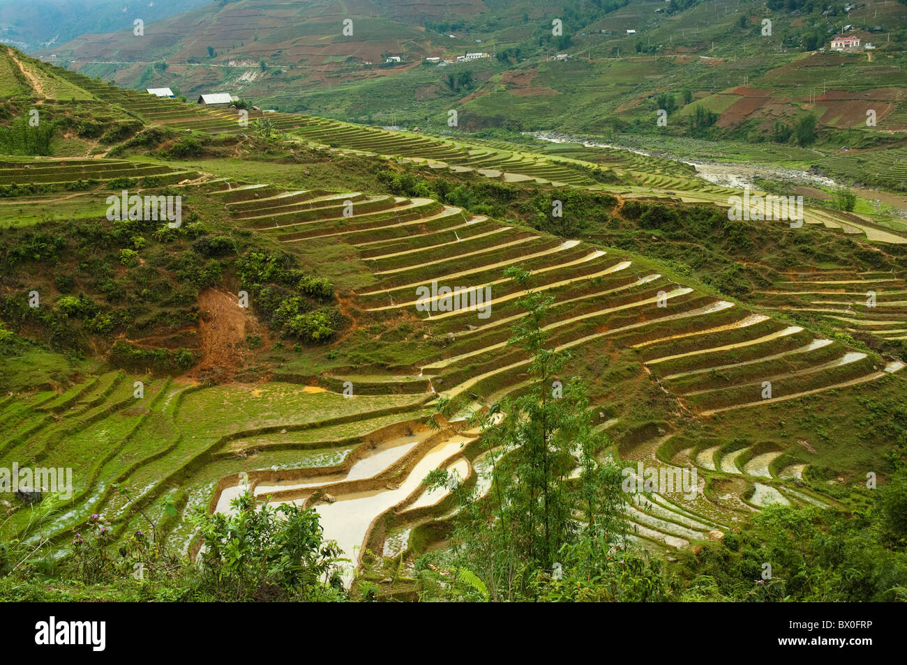 Dramatic Longji Terraced Field, Longsheng Various Nationalities