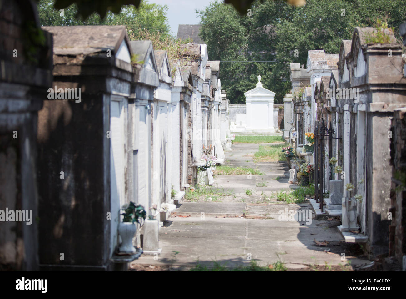 Lafayette Cemetery 1 is one of many aboveground cemeteries ("cities