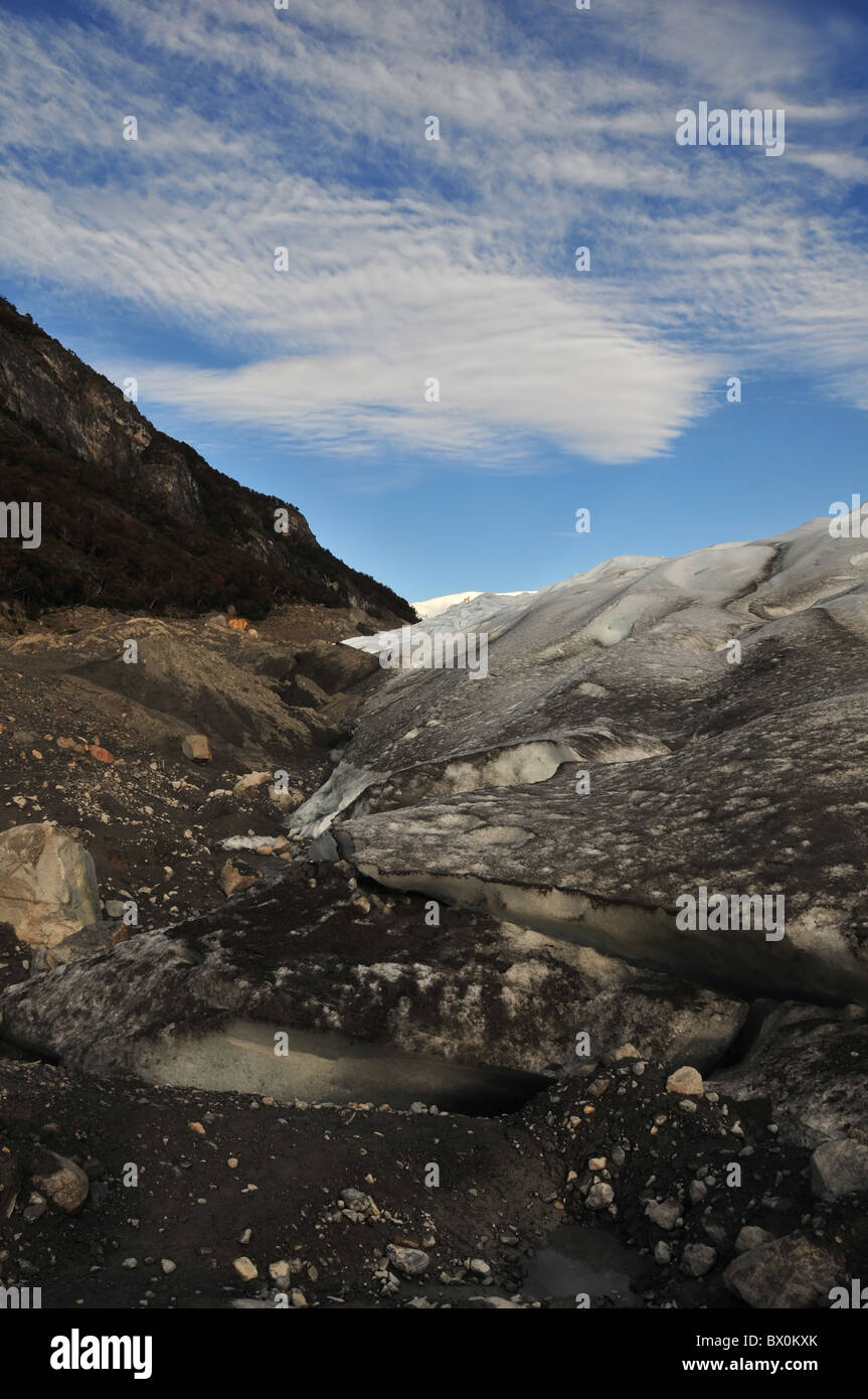 Trees 1 woodland growing rising steep hillside slope background view hi ...