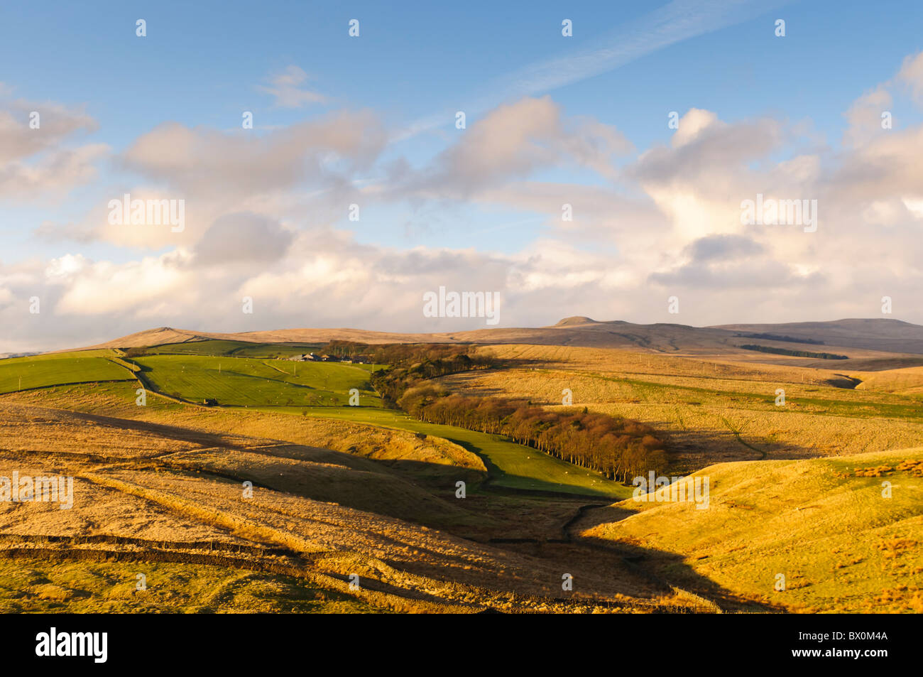View from Newton Moor hill across part of the Yorkshire Dales to Kirkby Fell Stock Photo