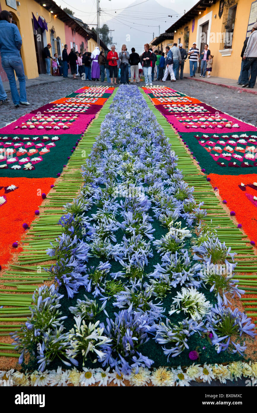 Antigua, Guatemala. An alfombra (carpet) of flowers, pine needles and  traditional materials awaits passage of a procession Stock Photo - Alamy