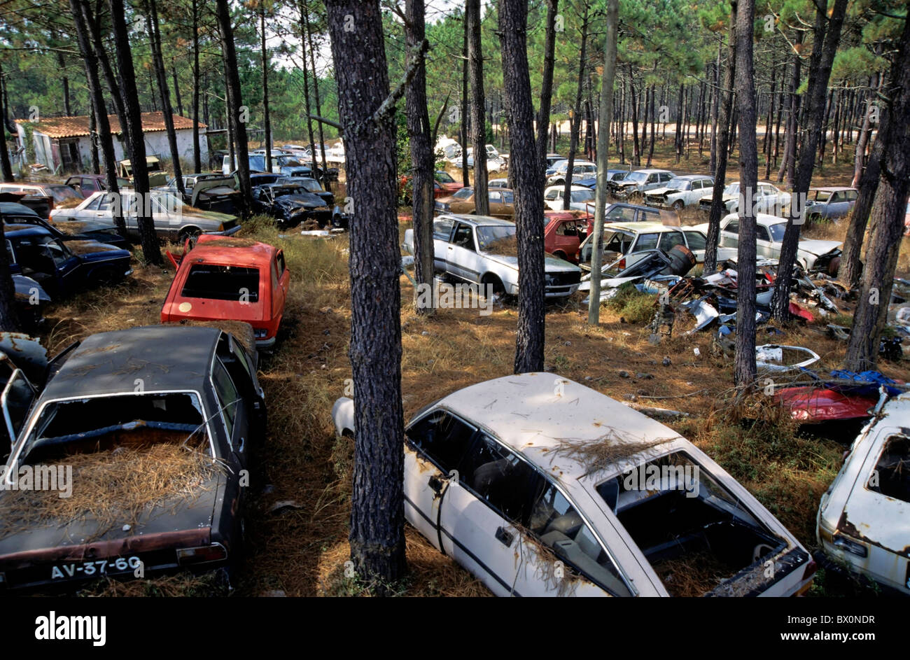 Abandoned cars dumped in a forest Stock Photo Alamy