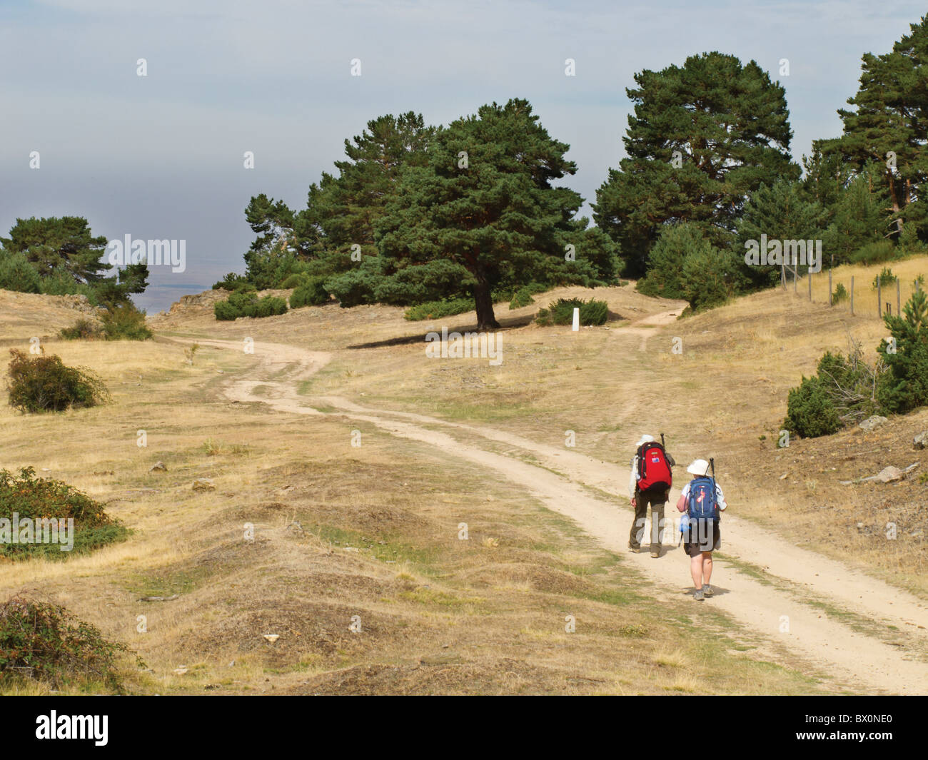 Pilgrim walkers on the Camino de Santiago, Spain Stock Photo Alamy