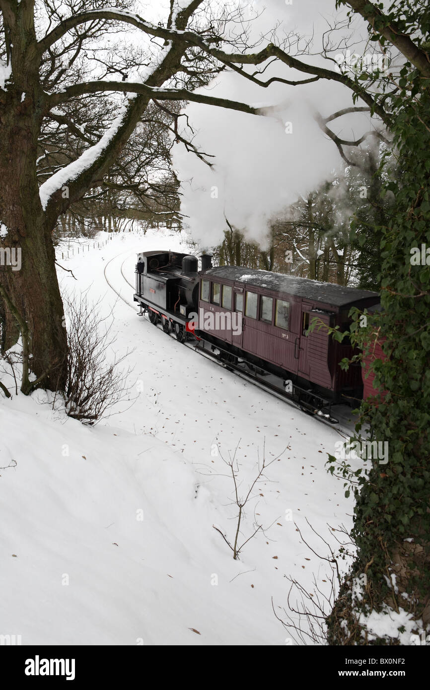 O-6-0 Tank locomotive Twizell runs through Causey Woods with a Xmas Santa Special, Tanfield Railway, Stanley, Co. Durham, UK Stock Photo