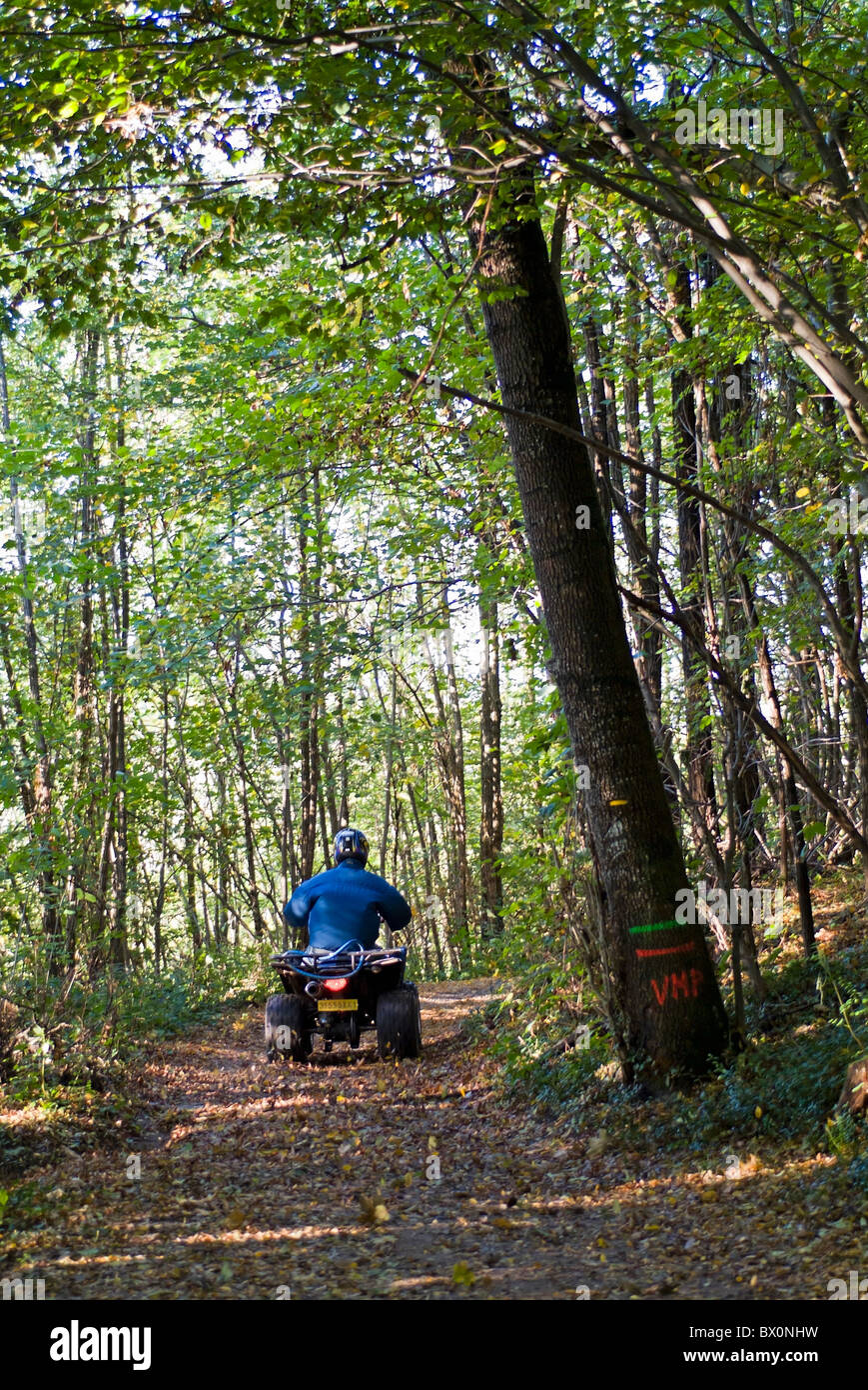 Person riding alone on a quad bike through a forest during autumn, France. Stock Photo