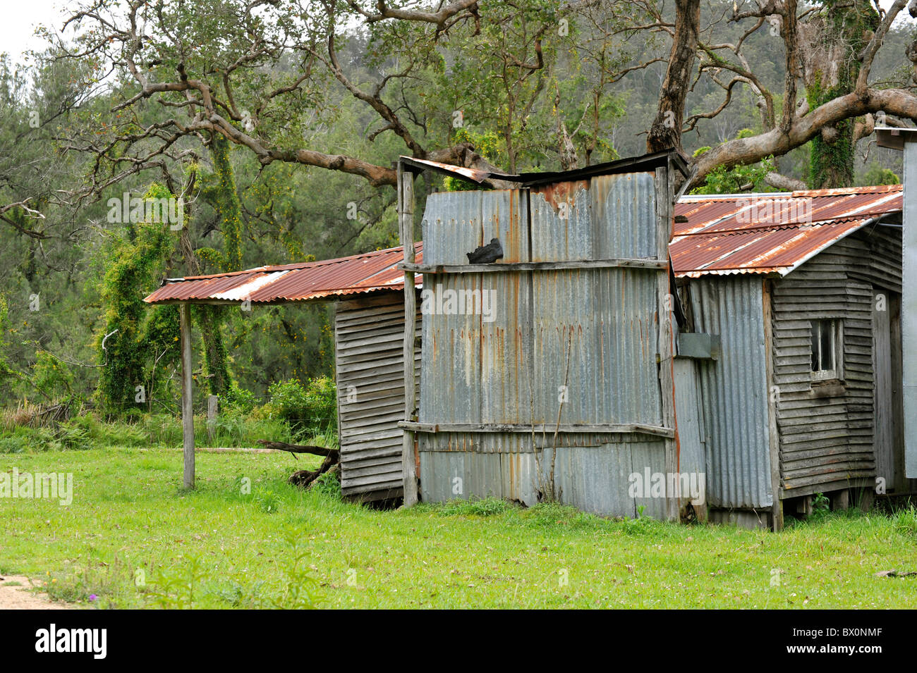 Corrugated Iron Bush hut in Australia Stock Photo