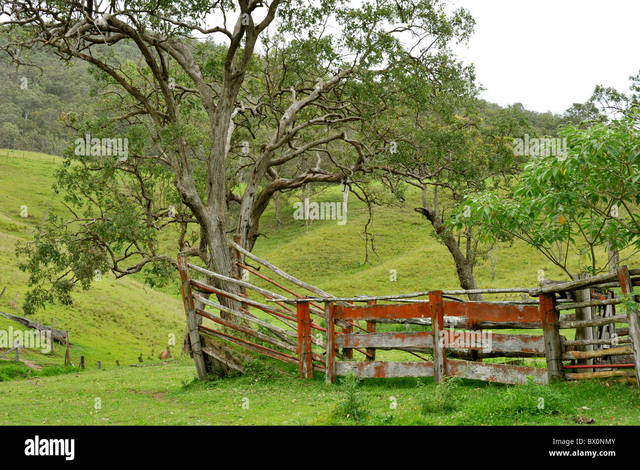 Stockyards hires stock photography and images Alamy