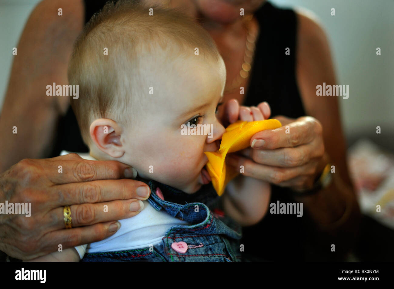 Baby eating Mango Stock Photo