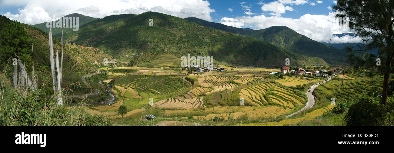 Panoramic view of rice fields in Lobesa Valley on the way between Wangdue Phodrang and Punakha, Bhutan Stock Photo