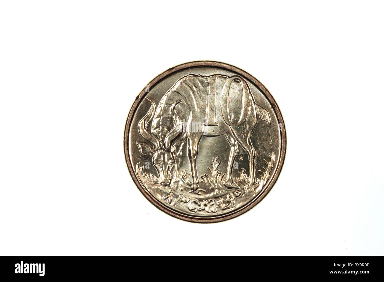 Ethiopian ethiopia lion coin hi-res stock photography and