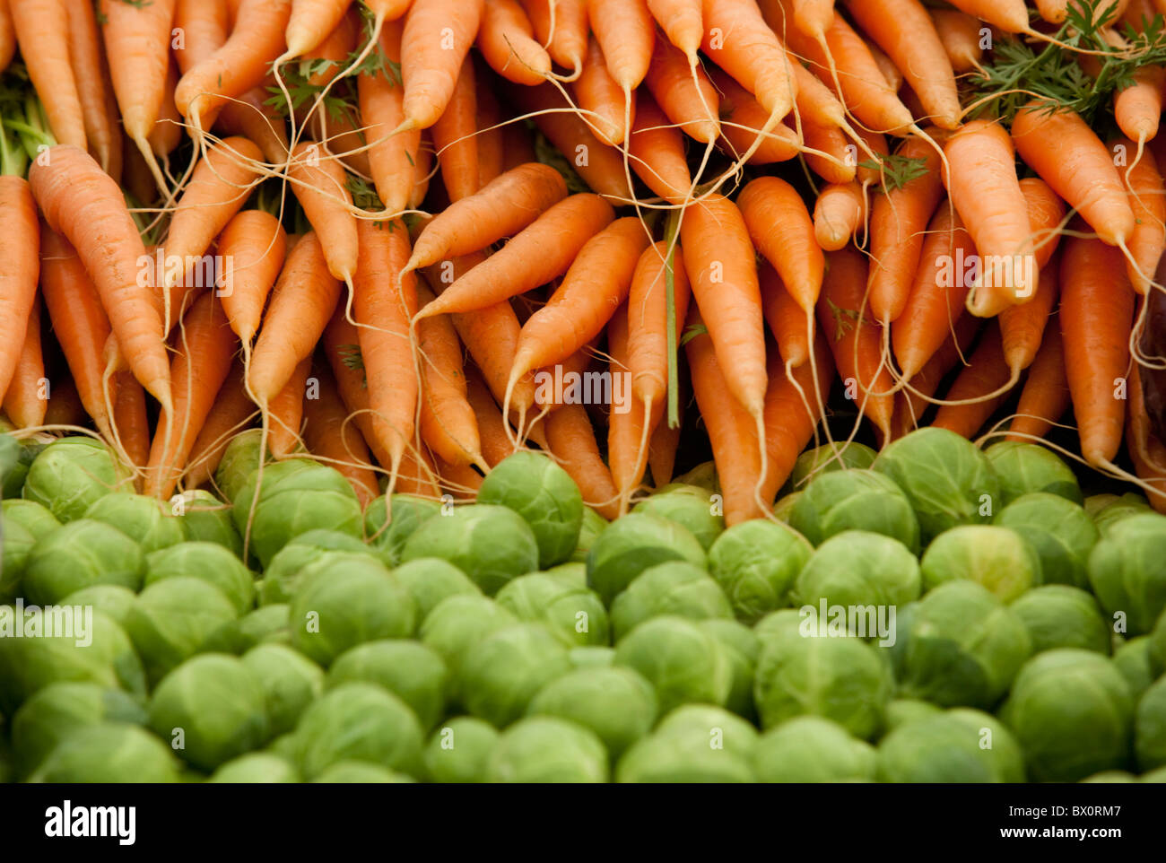 Carrots and Brussel Sprouts. Stock Photo