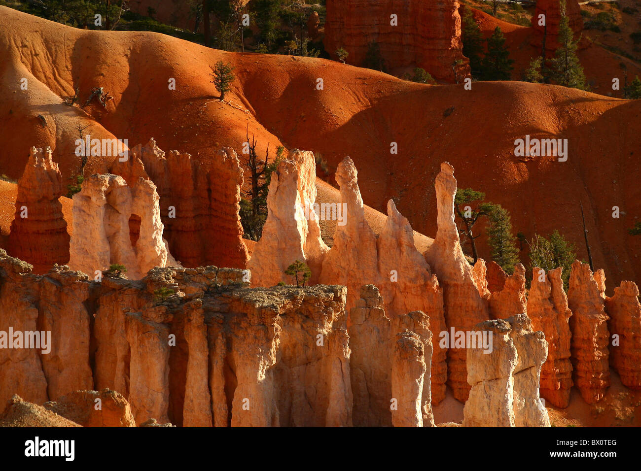 Bryce Canyon shortly after sunrise - USA, United States of America Stock Photo